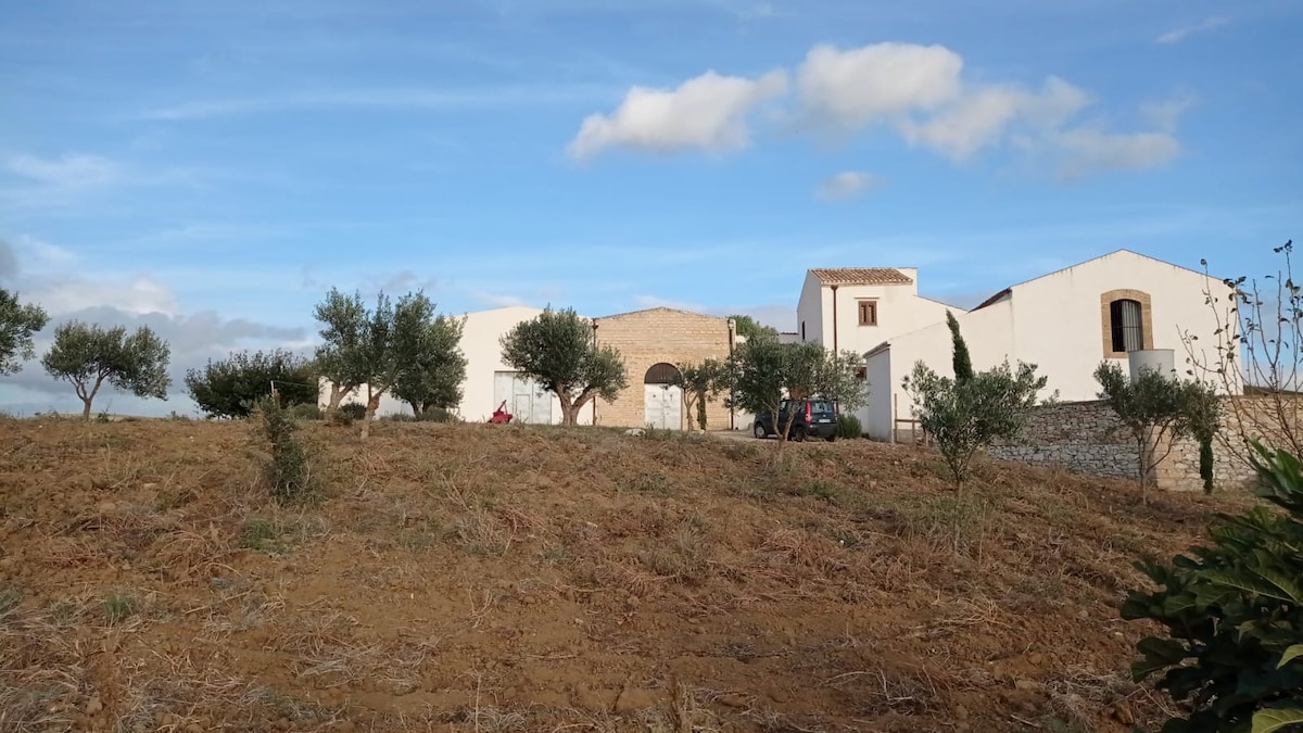 cantina vinicola conduzione familiare