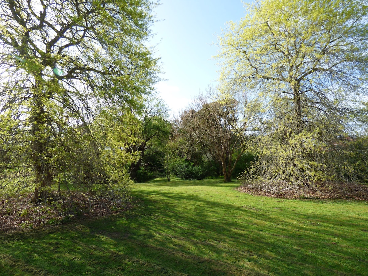 Tranquil Kumeu Lifestyle Farm