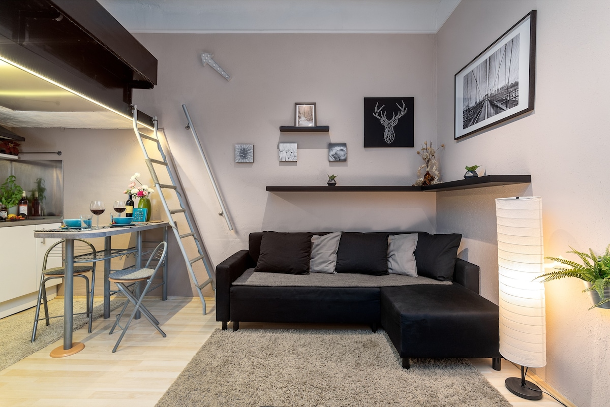 多瑙河附近精致舒适的小公寓