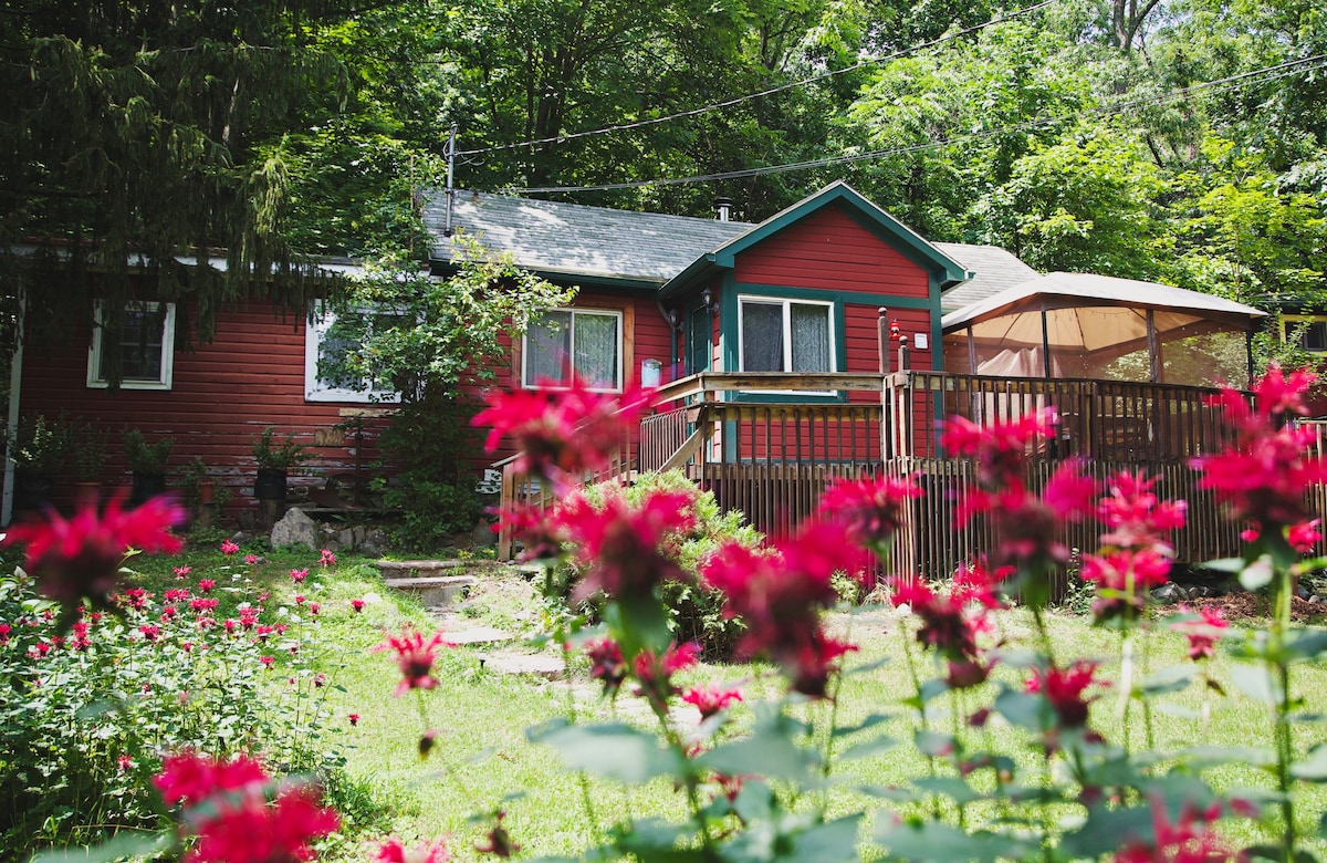 The Goldfinch小屋at Mystic Hill