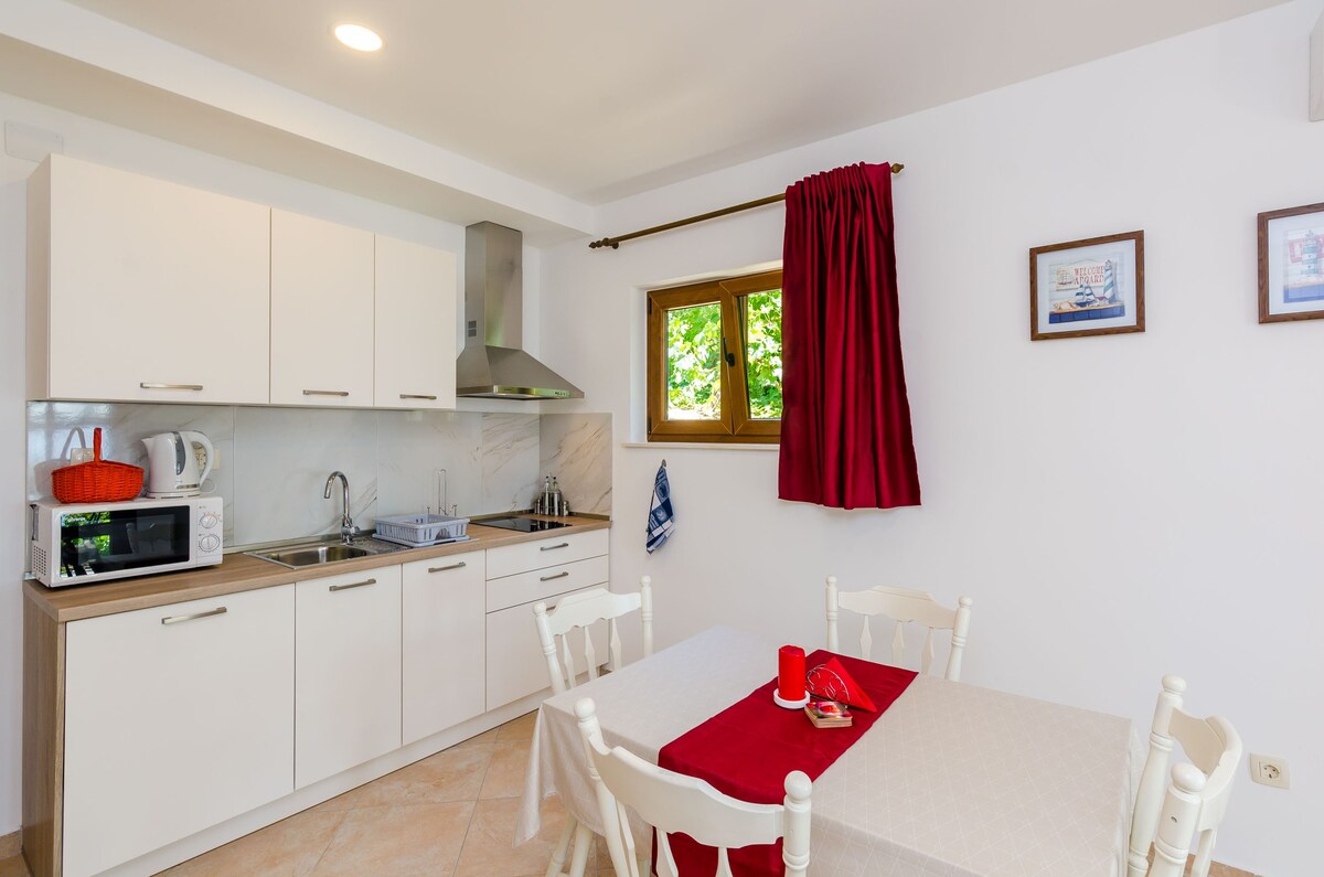 Carpe Diem - Comfort One Bedroom Apartment with Terrace and Sea View