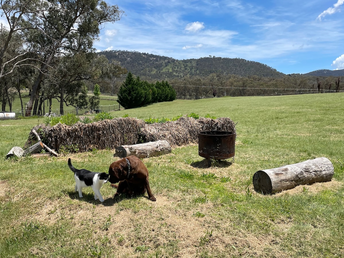 Saddler 's Retreat at Donegal Farmstay