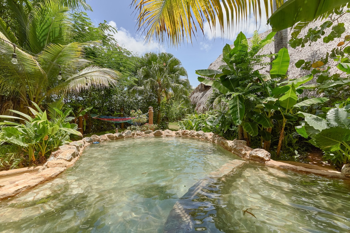 度假木屋# 4加勒比海，带泳池的大别墅