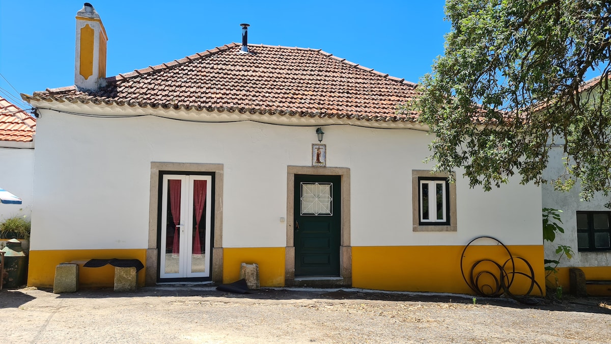 Cork Oak Tree House 2