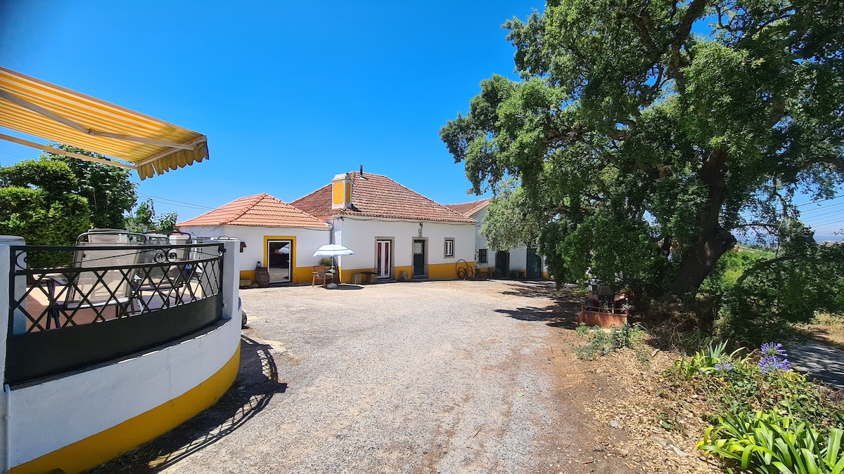 Cork Oak Tree House 2