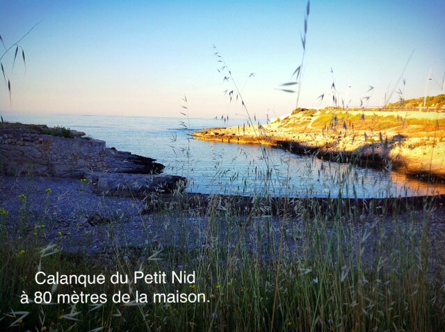 LE PETIT NID DU BORD DE MER