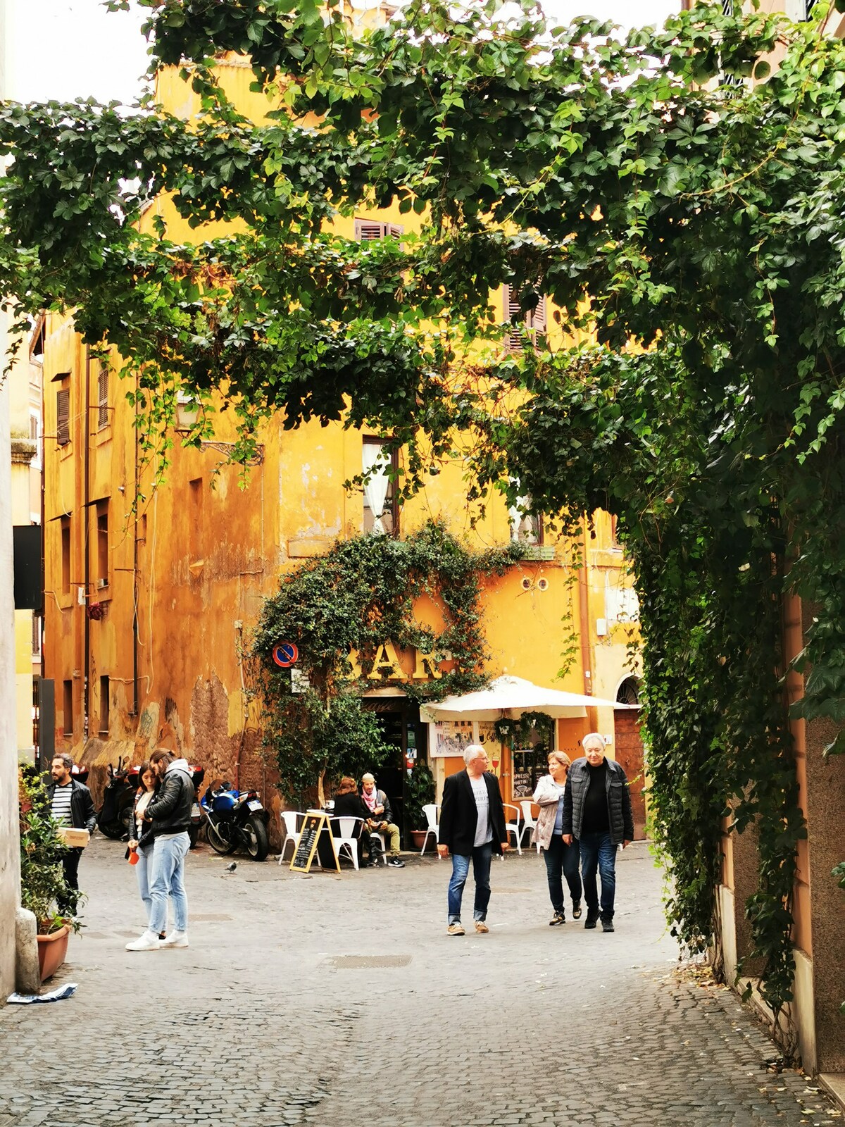 历史悠久的设计阁楼Trastevere Santa Cecilia