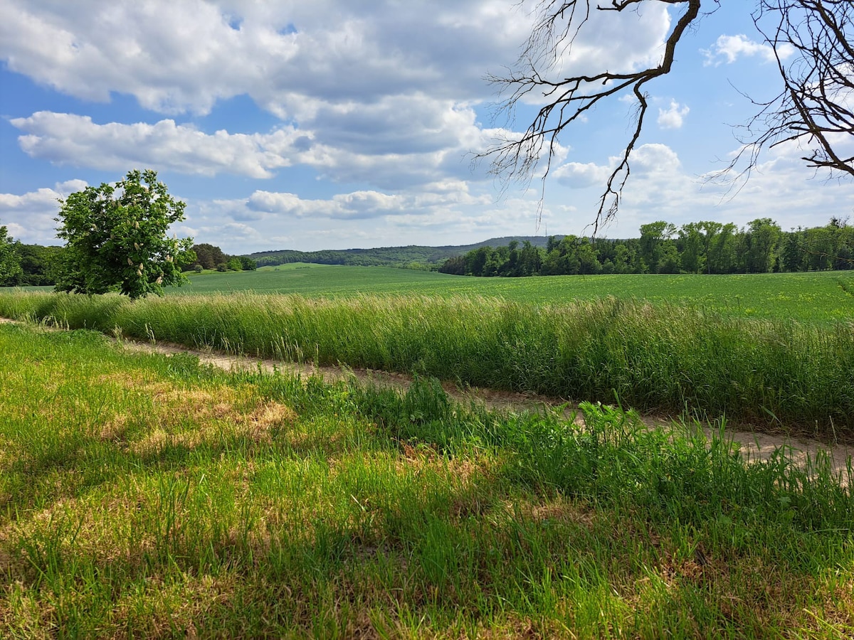 Forsthaus Lelkendorf / Ferienwohnung