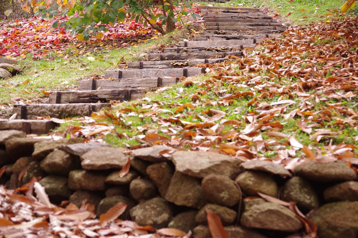 Lyrebird Cottages, Mountain Ash, Yarra Valley