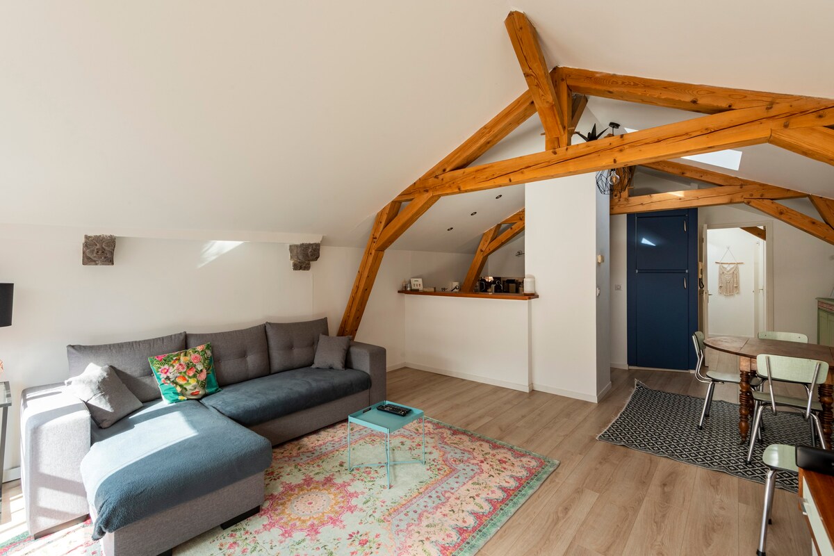 Riom屋顶下的舒适公寓-流动性租赁