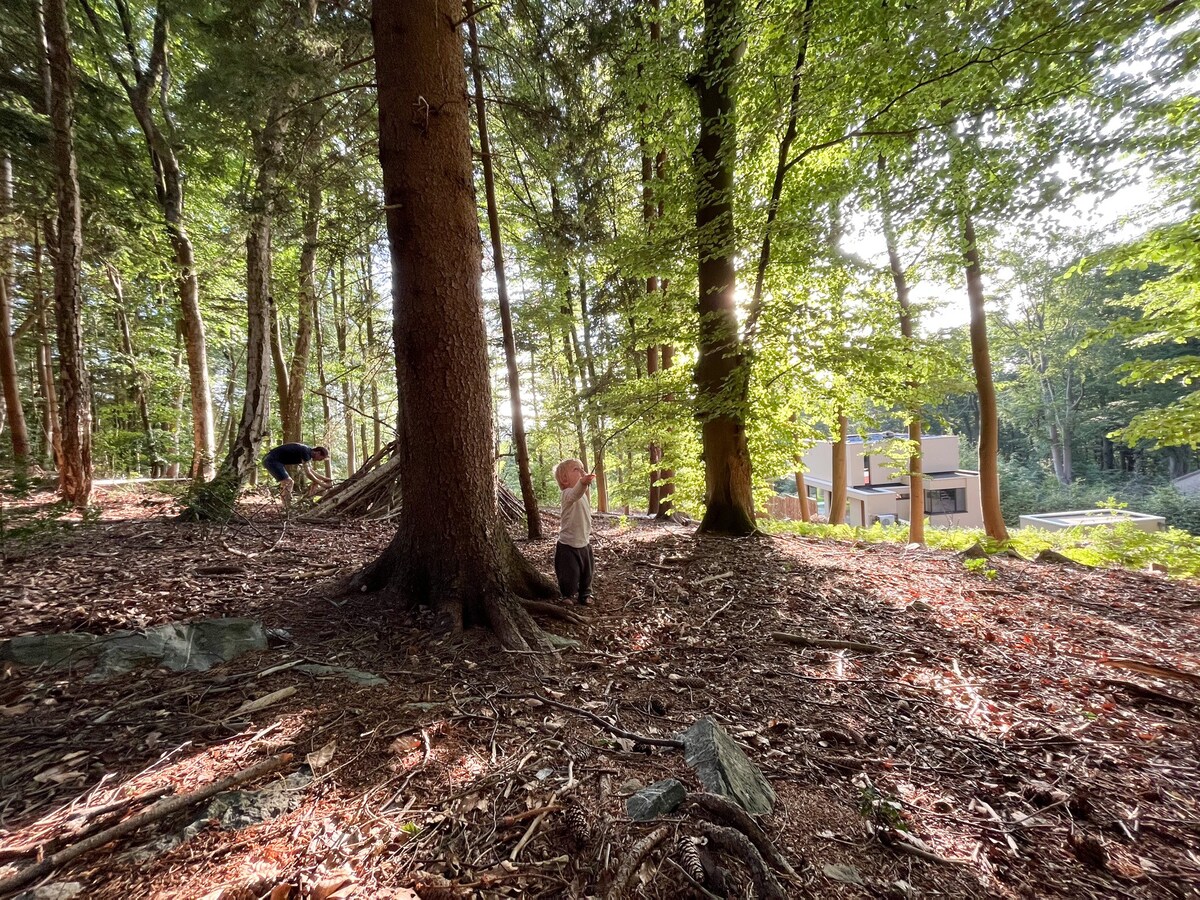 Gîte des Bois de Spa