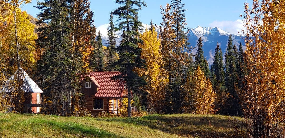 McCarthy Cabins — Meadow Cabin.僻静舒适！