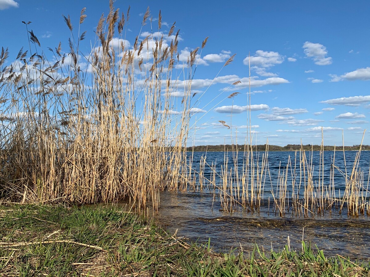 Zimmer mit SCHLOSSblick am SEE