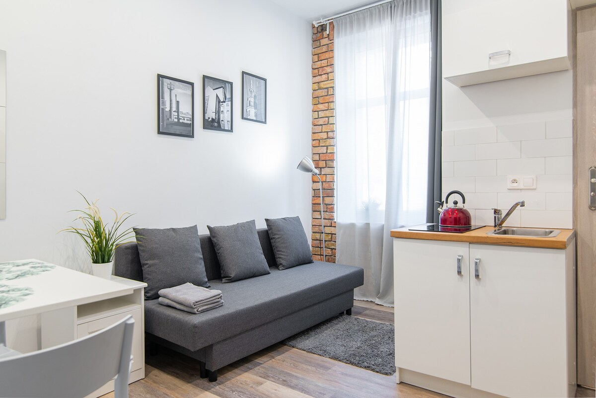 单间公寓，配备沙发、卫生间和住宿99 Poznaë的附属建筑