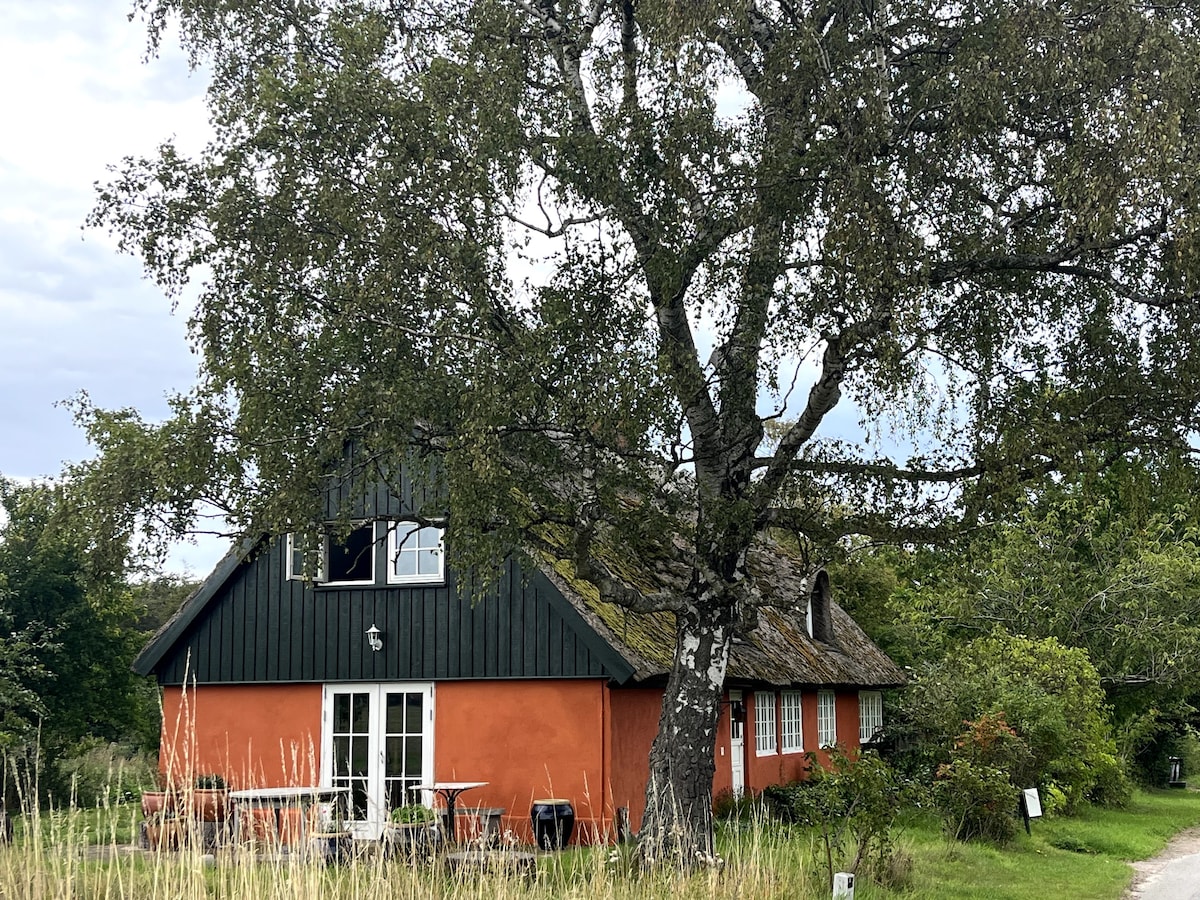 Idyllisk sommerhus på landet