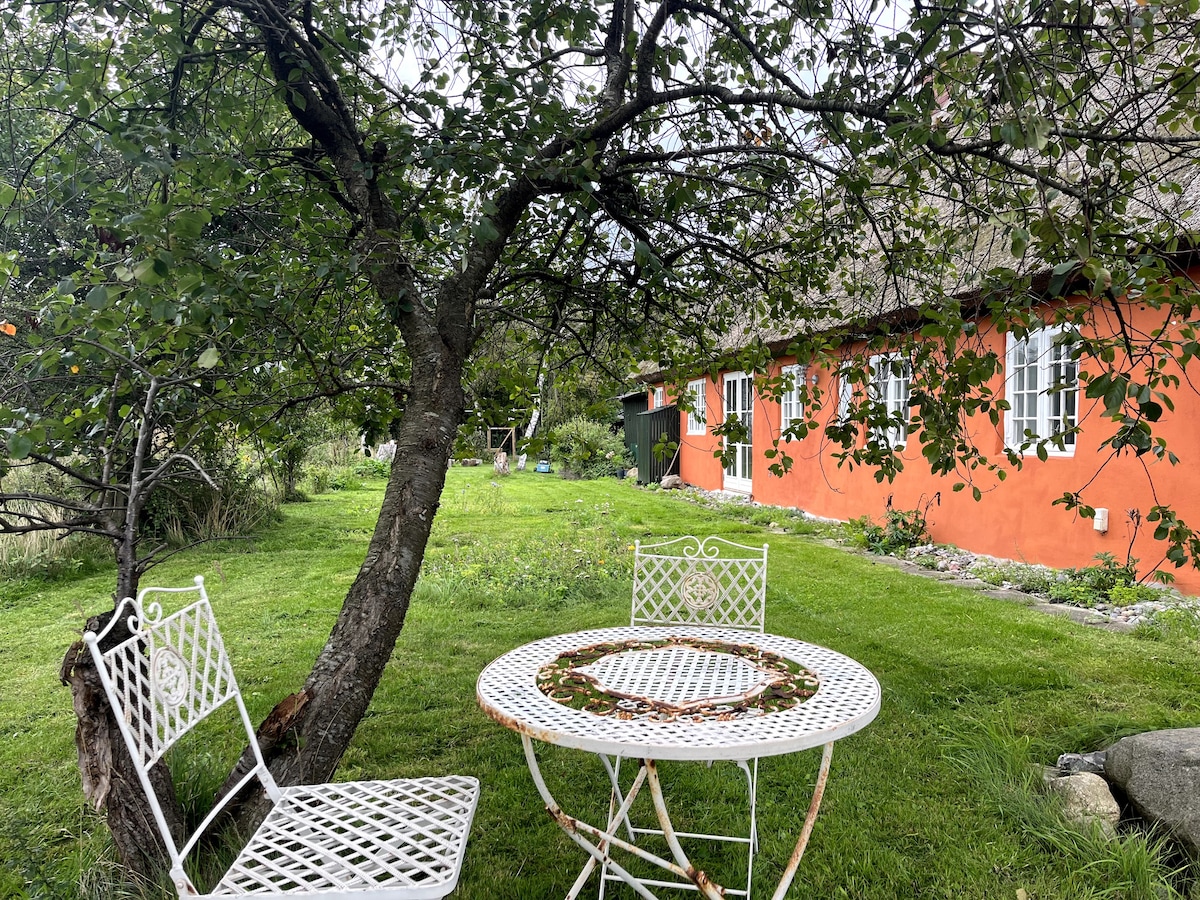 Idyllisk sommerhus på landet