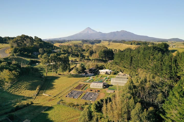 新普利茅斯(New Plymouth)的民宿