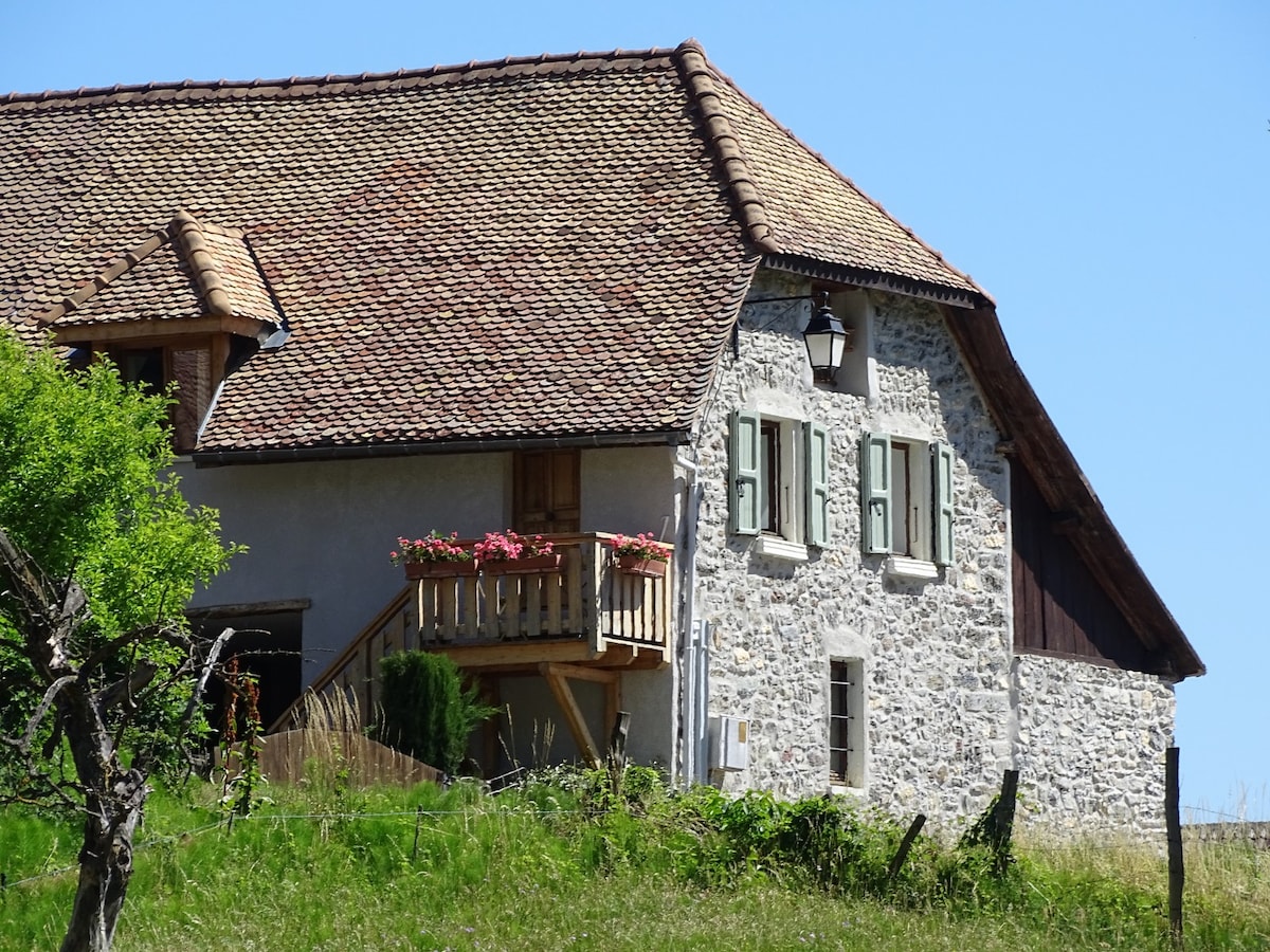 迷人的乡村小屋：「La grange au Lac Azur」