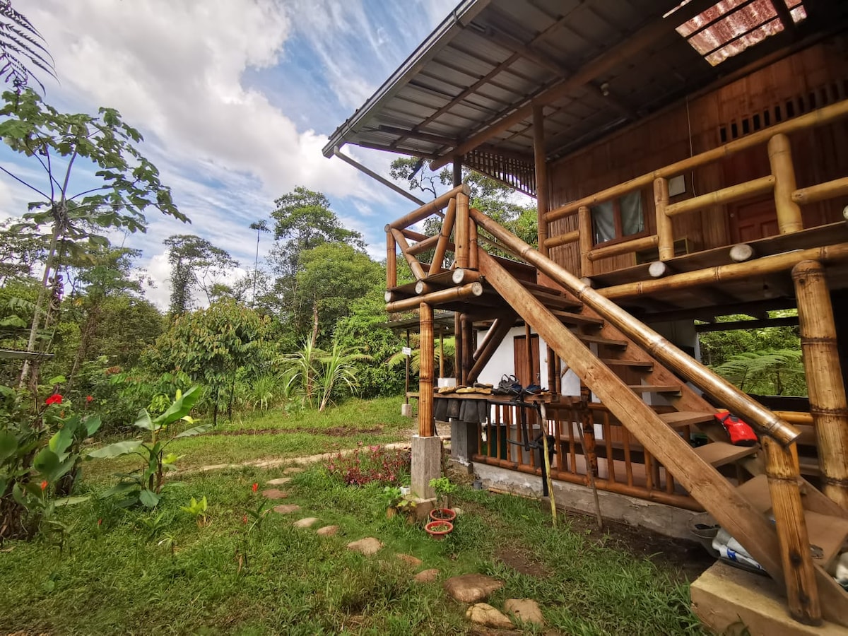 Amazonia Cabins - Bird Refuge