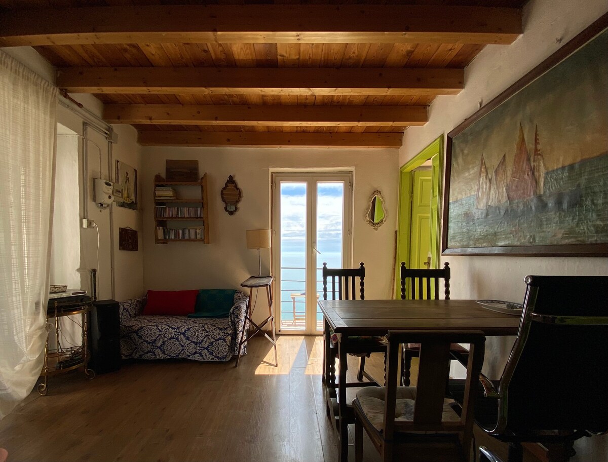五渔村（ Cinque Terre ）市中心的绝佳公寓