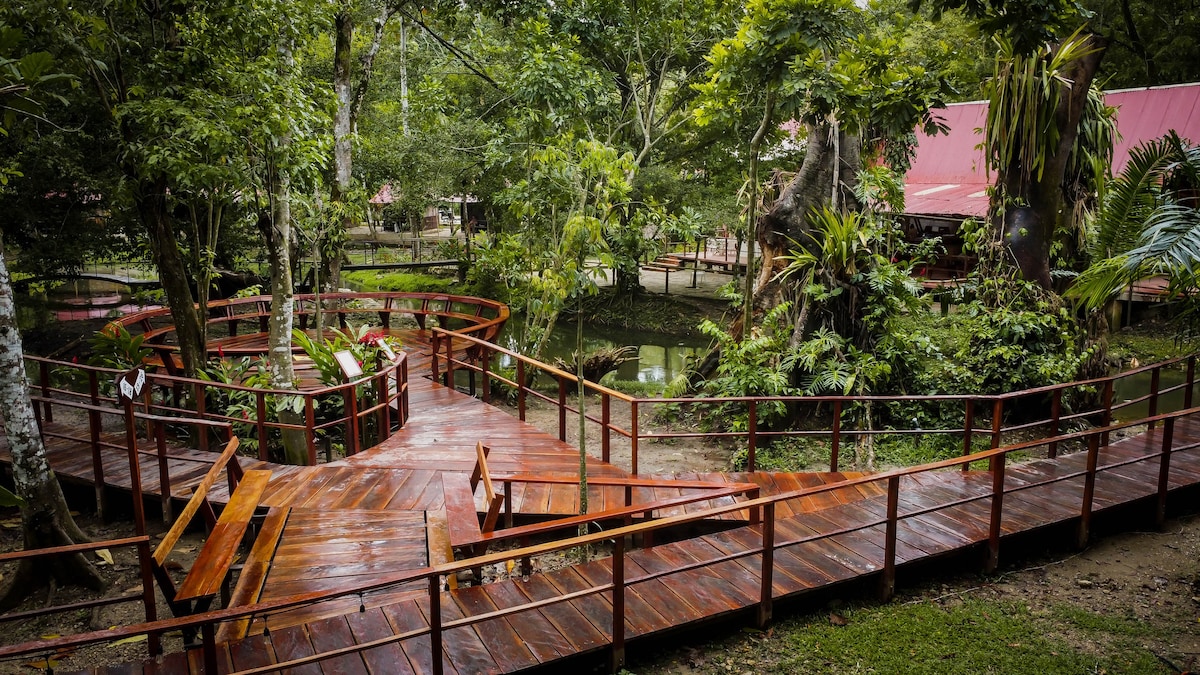 Cabañas Kin Balam Palenque- King Size