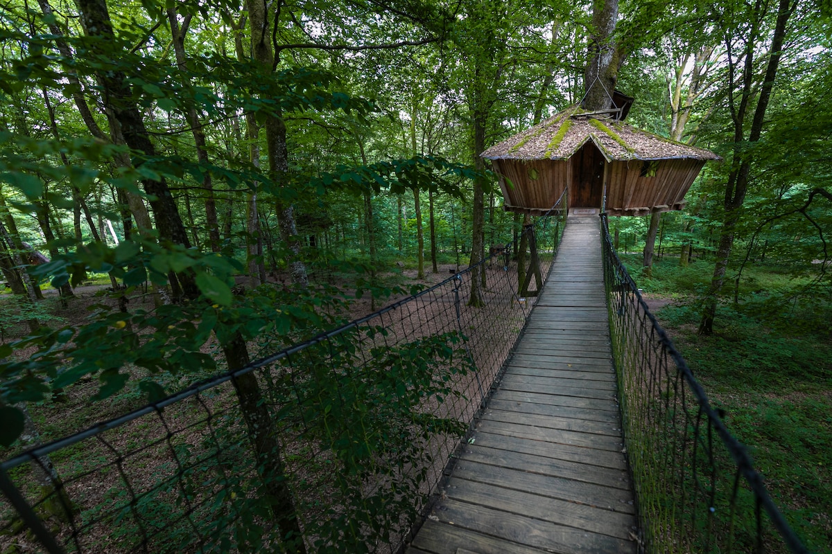 L'Arbre à Cabane, Cabane El Sueno