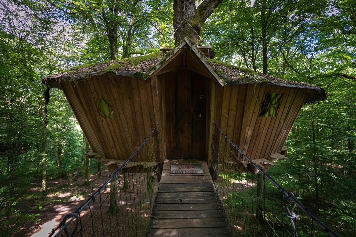 L'Arbre à Cabane, Cabane El Sueno