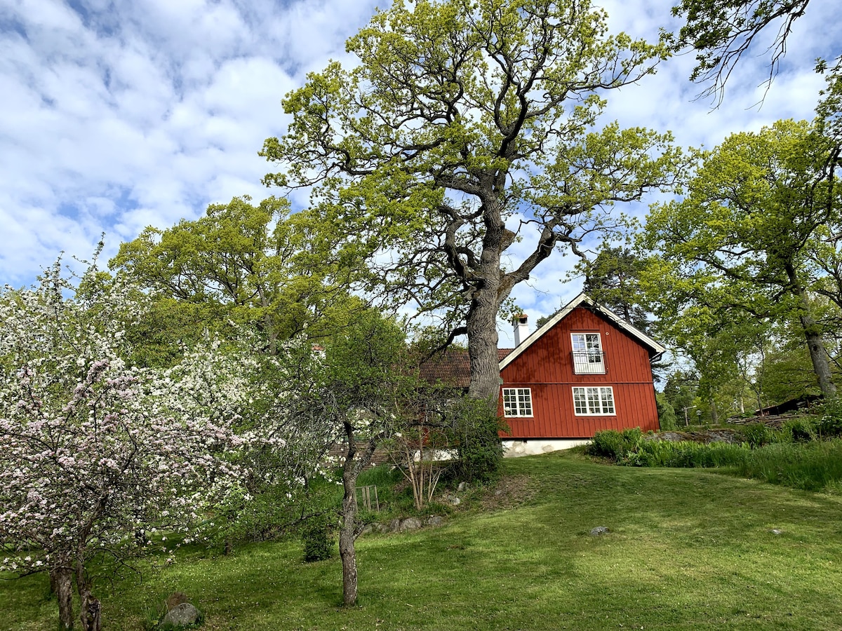 Saltsjö-Boo的红色别墅