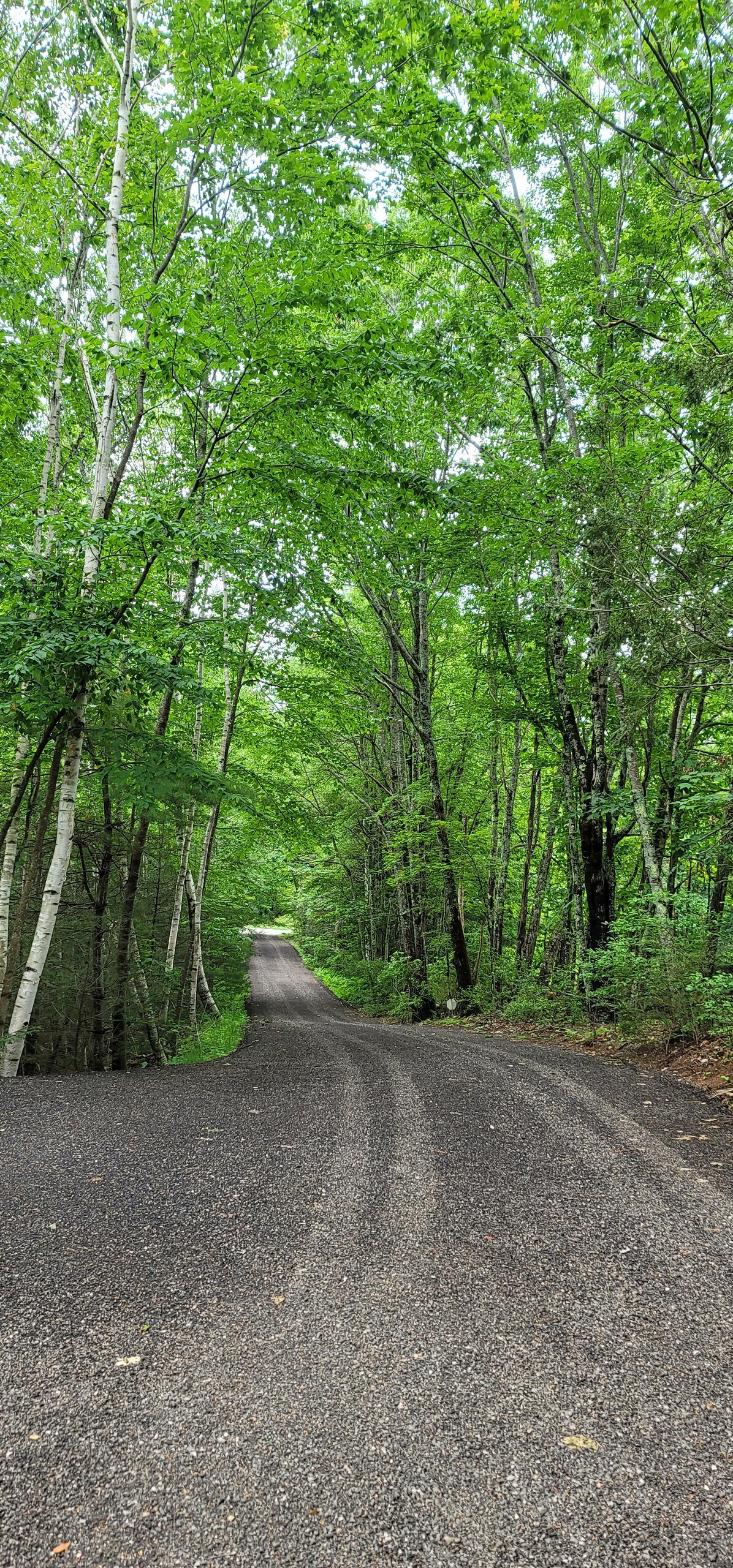 Dog-friendly glamping, Barrington