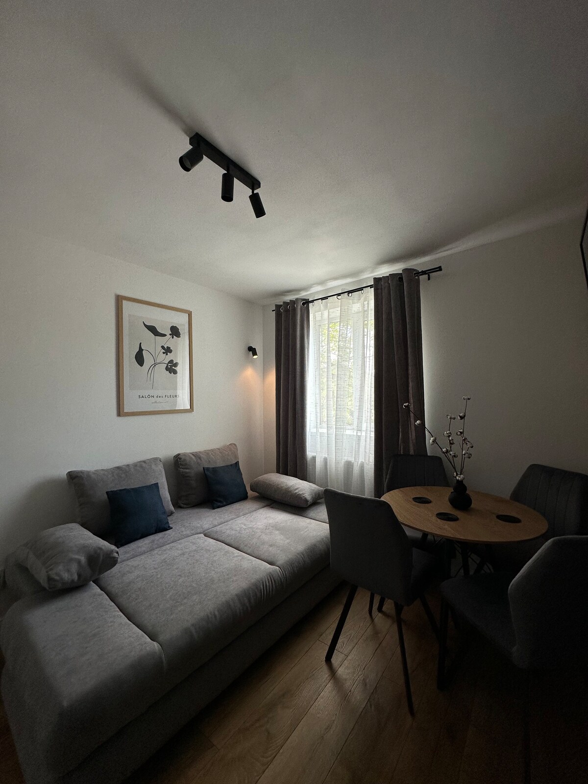 Zalau现代舒适公寓