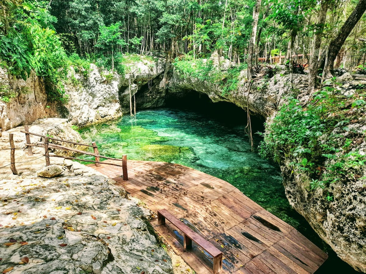 步行即可抵达天然井（ Jungle Eco Treehouse ）