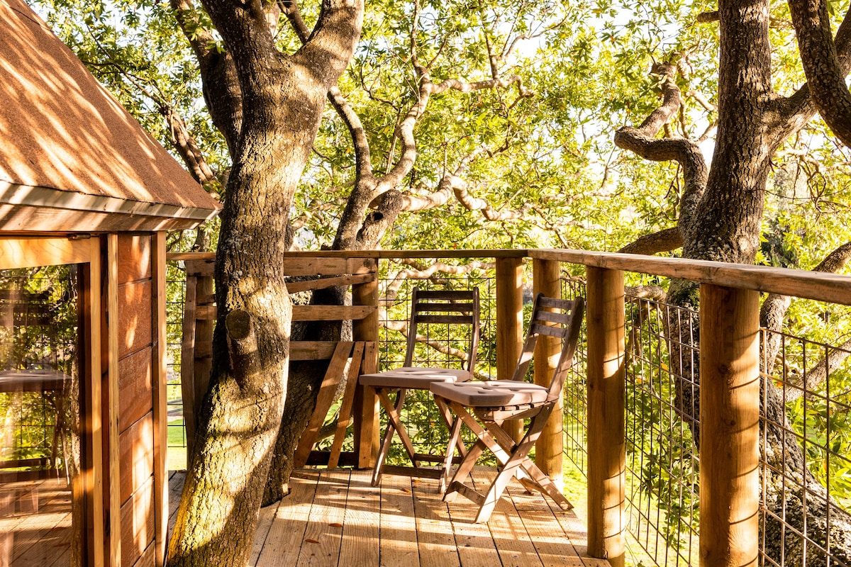 Danehill Manor Luxury Tree House