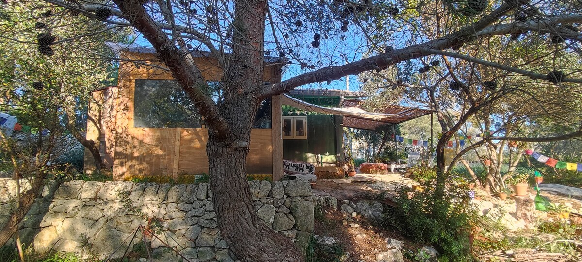 Chalet in the woods in Noto Antica