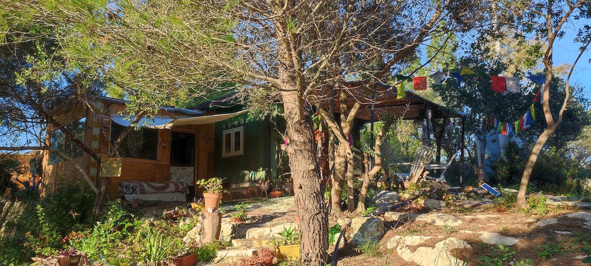 Chalet in the woods in Noto Antica