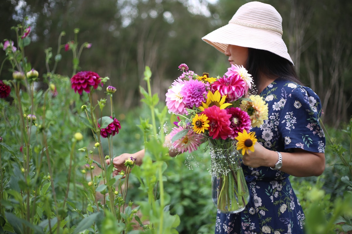 Harvest Homestead Farm & Flowers in the Dandenongs