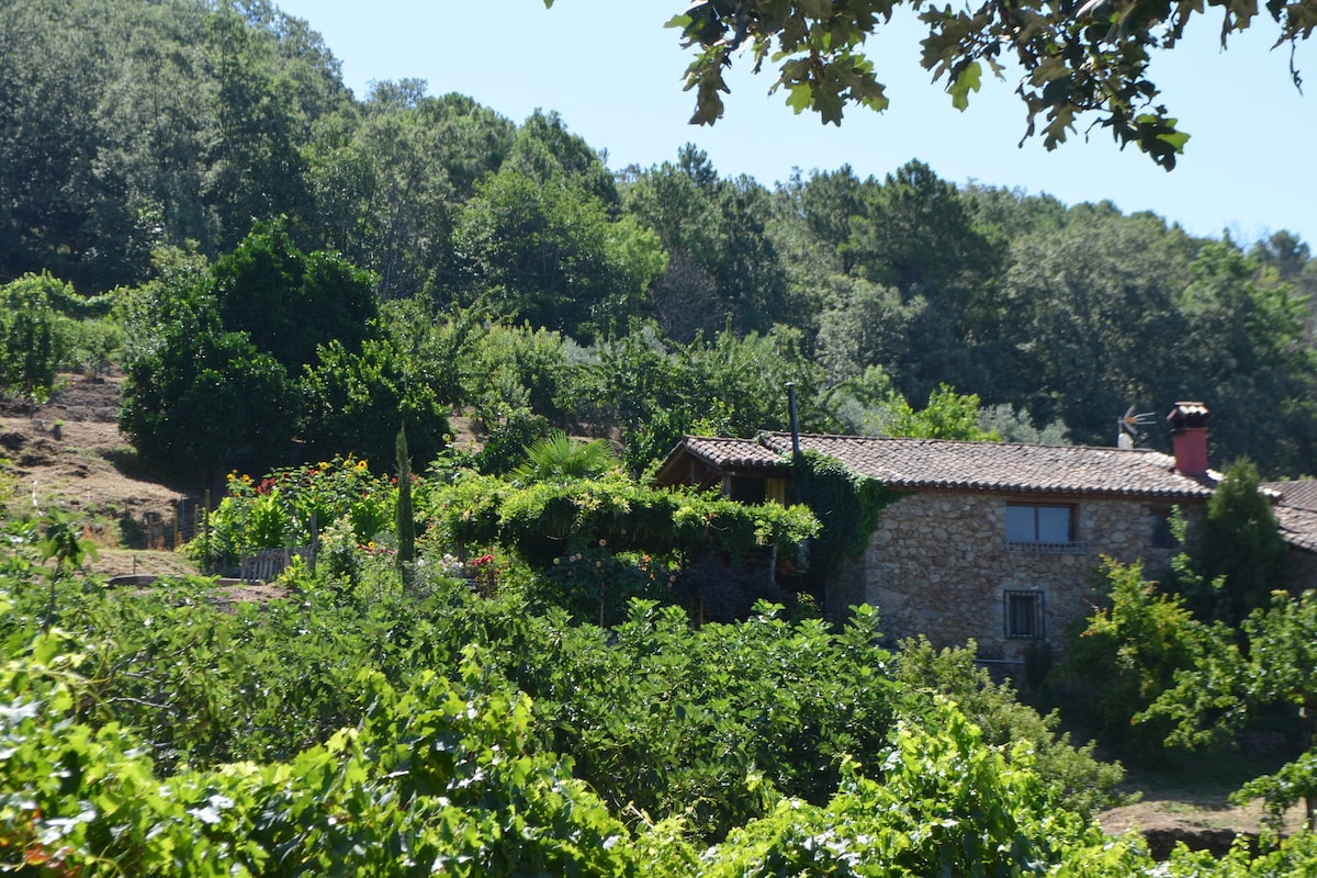 La Finca del Banastero