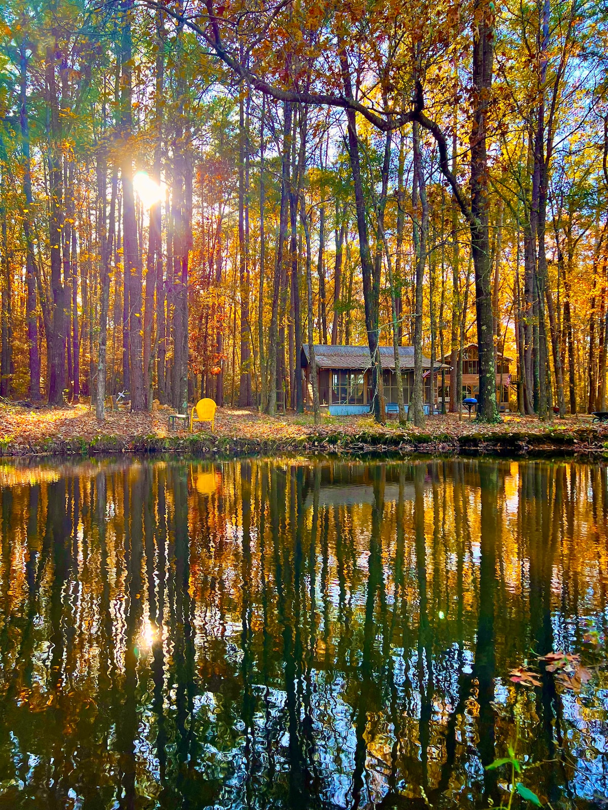 Happy Pine Cone Cabin, Fishing, Fire Pit, Trails