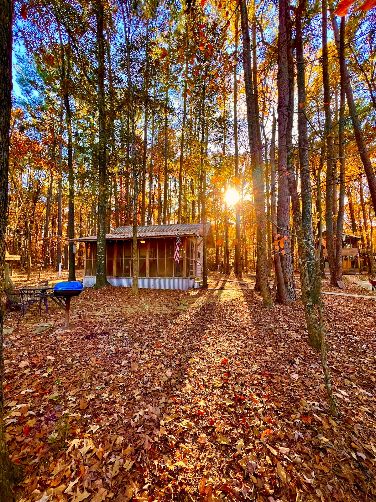 Happy Pine Cone Cabin, Fishing, Fire Pit, Trails