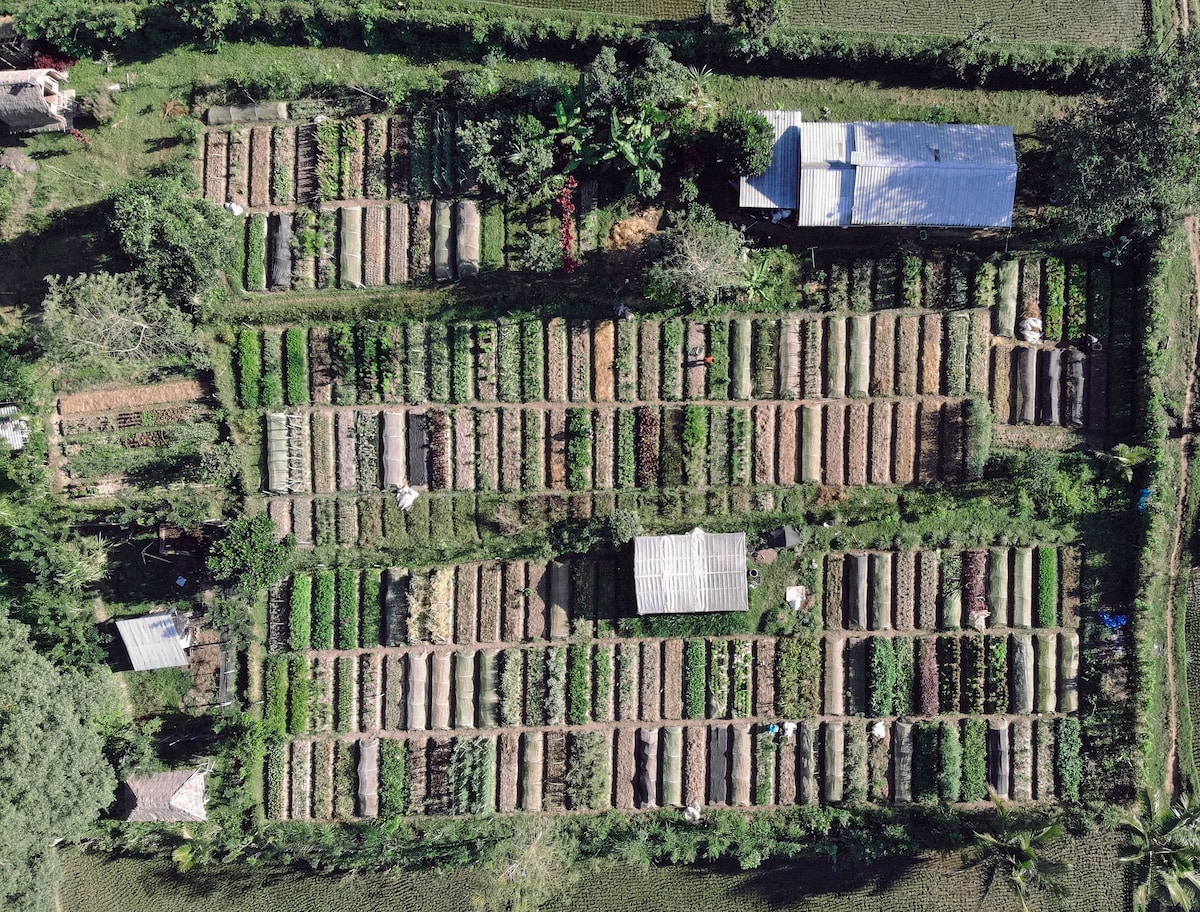 Unique Organic Farm House