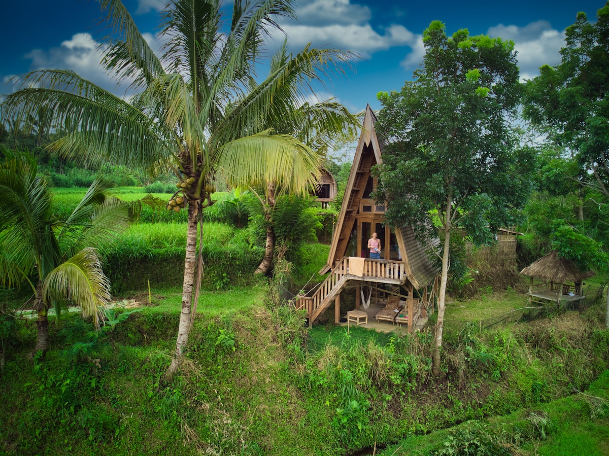 Unique Organic Farm House