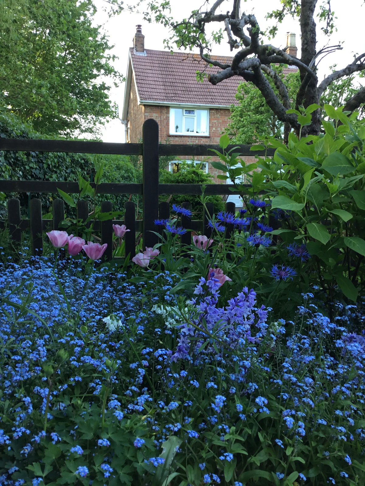 Church Farm Cottage, Legbourne, Louth