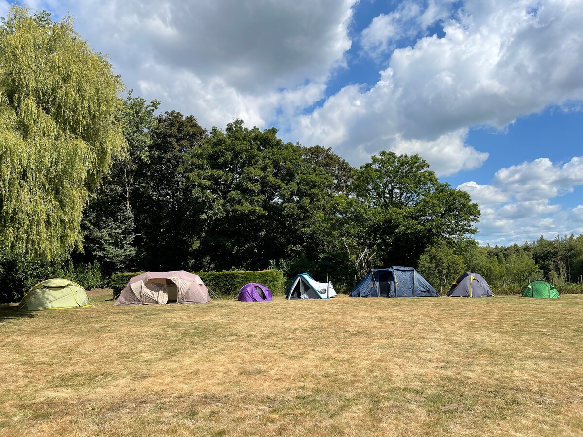 真正的壮丽绿色露营地@ Tomorrowland