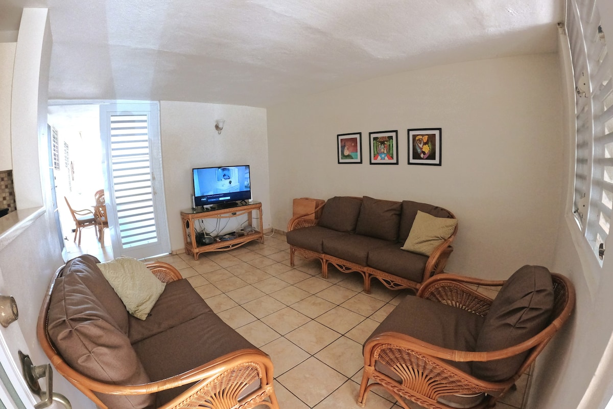 Great and Comfortable House in Guayama