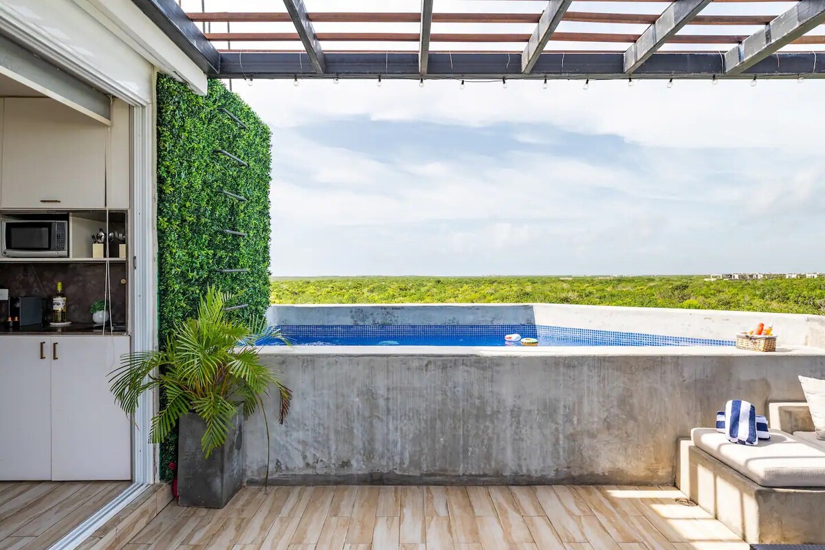 带私人泳池的屋顶套房，可欣赏玛雅遗址美景