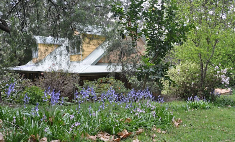 袋鼠谷(Kangaroo Valley)的民宿