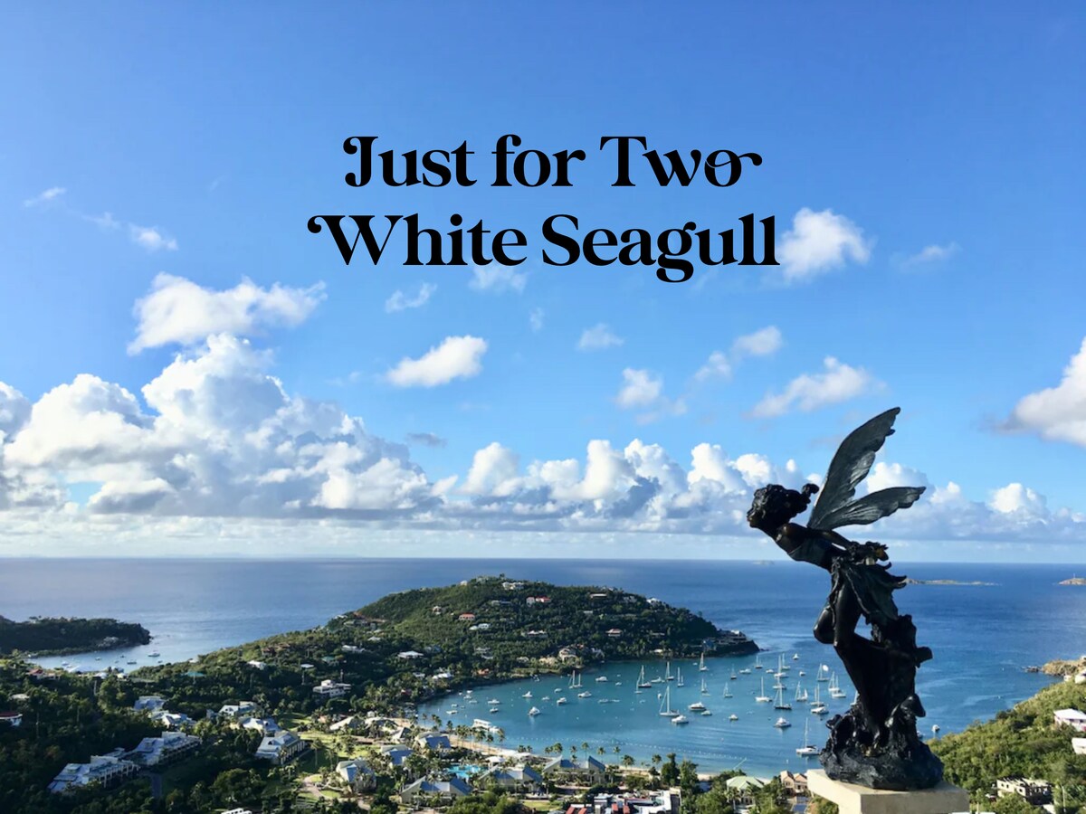 Just For 2 -White Seagull