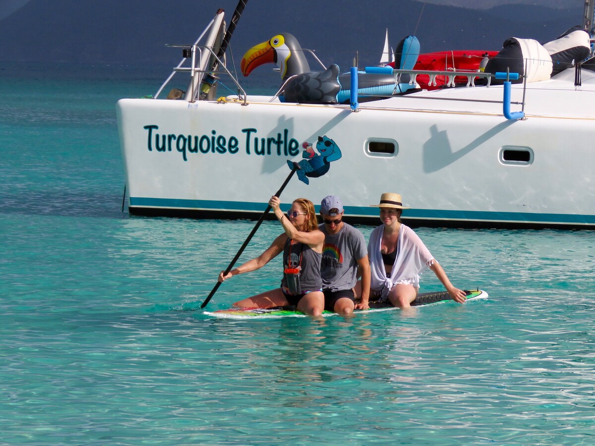 Turquoise Turtle Virgin Islands