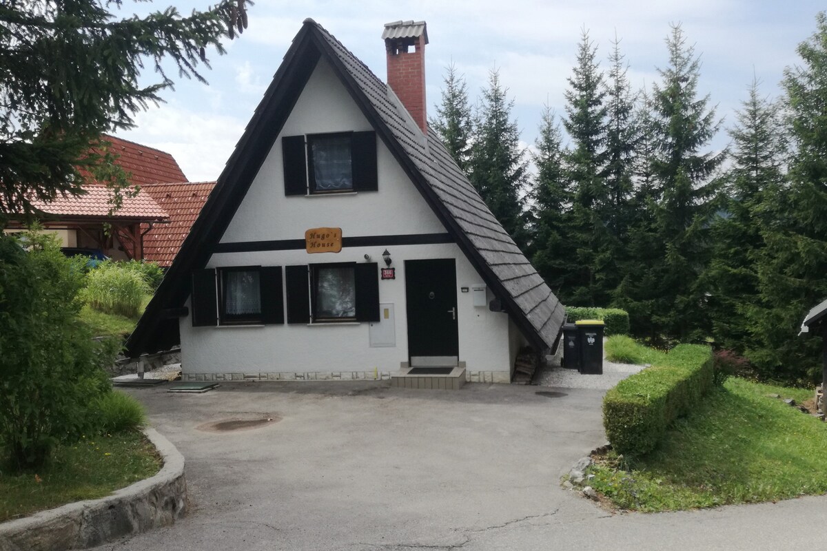 Hugo's house - family friendly close to Ljubljana