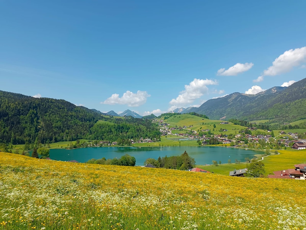 蒂尔湖（ Thiersee ）安静的湖景公寓