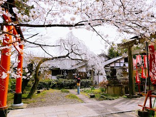 适合女性入住的日式客房，配备独立卫生间